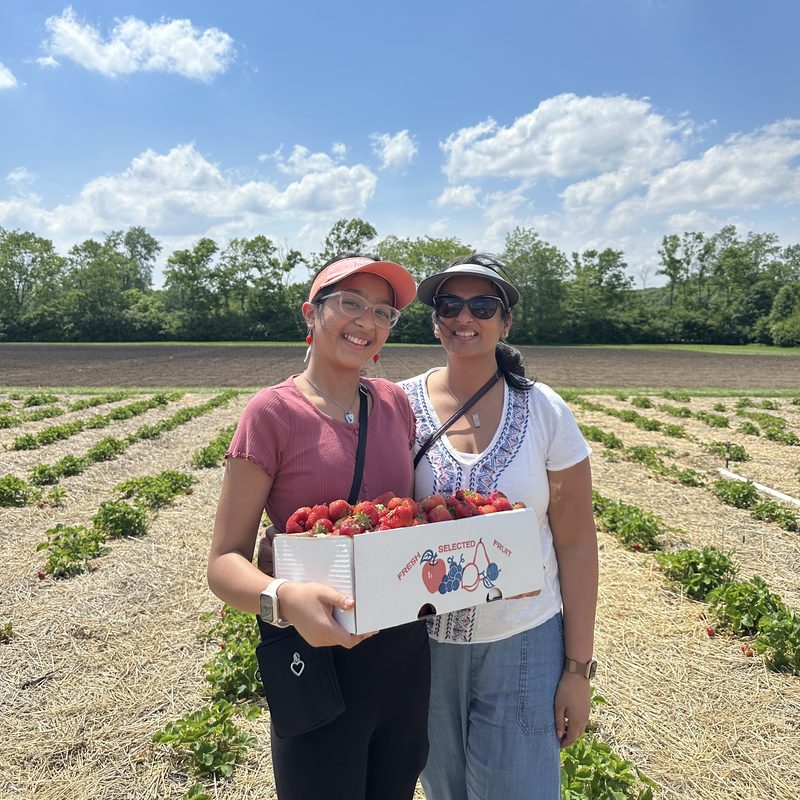 Megha and Avni picking fresh strawberries